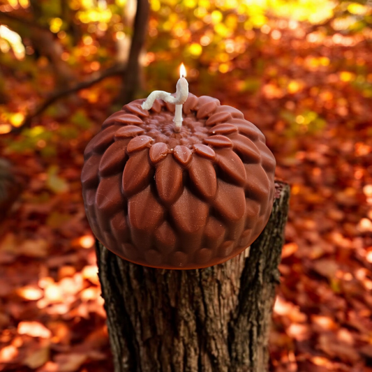 Brown Sunflower