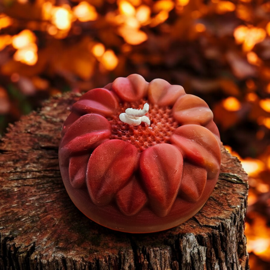 Red/ Orange Sunflower